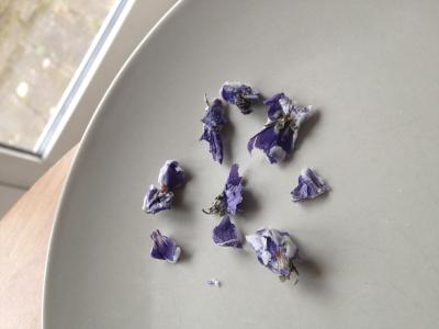 kandiserede violer